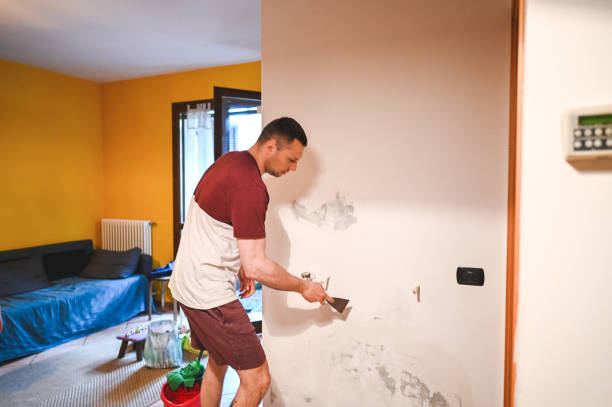 Walls, MS Mold Remediation Company